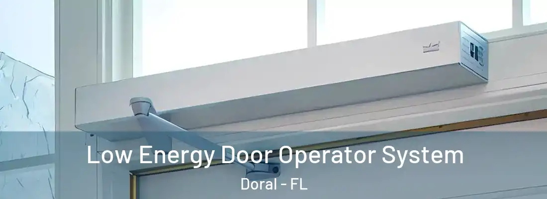  Low Energy Door Operator System Doral - FL